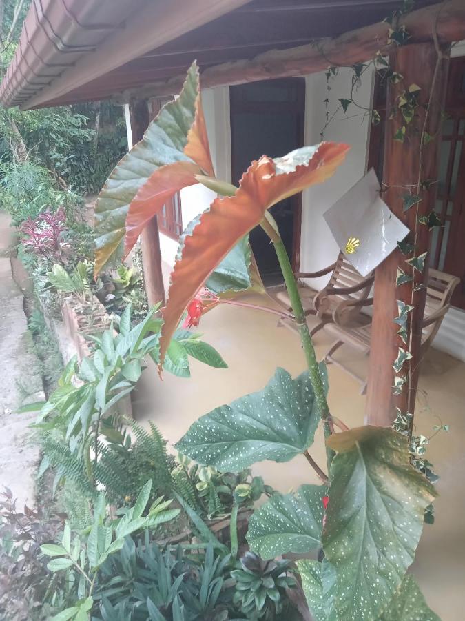 Supipi Homestay Procida Dış mekan fotoğraf