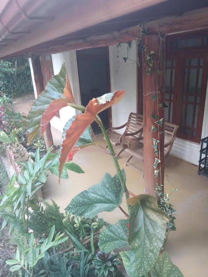Supipi Homestay Procida Dış mekan fotoğraf