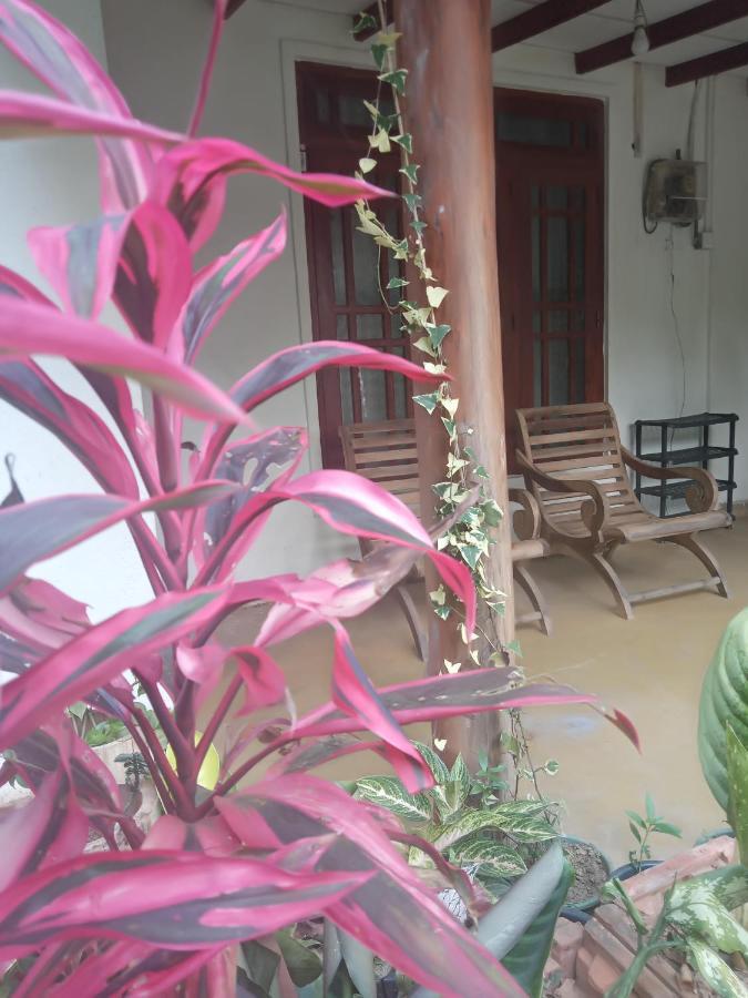 Supipi Homestay Procida Dış mekan fotoğraf